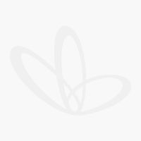Oh lief - Baby Wipes Biodegradable Bamboo 192s