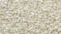 Sesame Seeds