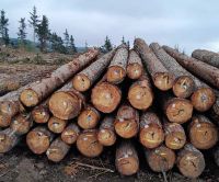 Tali,Teak,Iroko, Bubinga, Sapelli, Okoume, Ebony and Many Other Wood..wood logs 