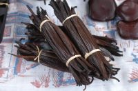 2165 Xiangcaodoujia Hot Sale Top Quality Vanilla Beans Madagascar