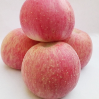 Fresh Red Green Tasty Fuji Qinguan