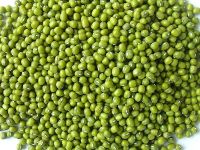 Mung bean from Vietnam High quality