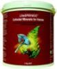 LifeSPRINGS Colloidal Minerals For Horses
