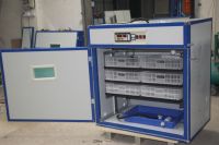 full-automatic digital commercial egg chicken poultry reptile incubator hatcher