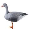 Hunting Decoy