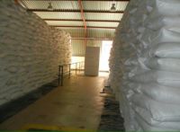 UG Grade White Sisal Fiber for Building High Quality