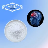 Buy Nootropics Pramiracetam CAS# 68497-62