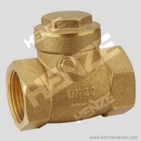 Thread NPT BSP Flanged RF FF Bronze Brass Lift T Type Swing Check Valve