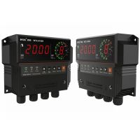 Crane Overload Limiter WTZ-A100N To