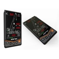 Full Crane Safety / LMI / SLI System