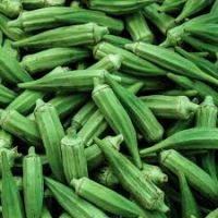 Good Quality Fresh Okra, Fresh Lady