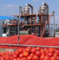 Complete Tomato Paste/sauce/ketchup/puree