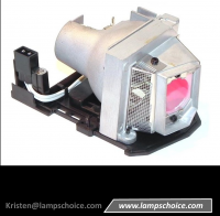Wholesale Replacement Projector Lamp With Housing