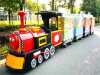 Sightseeing Train Electric Tourist Train
