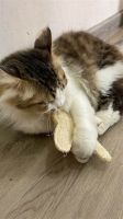 LOOFAH MOUSE CHEW TOY FOR PETS