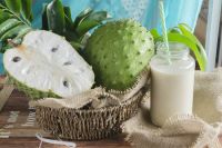 TROPICAL SOURSOP FRUIT PUREE / CLEAN INGREDIENT