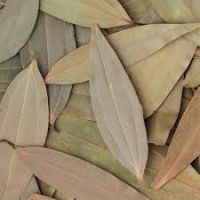 SUN-DRIED BAY LEAVES / NATURAL CULINARY