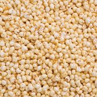 PREMIUM DRIED MILLET / NON-GMO / ADDITIVE