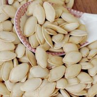 ROASTED PUMPKIN SEEDS / PLANT PROTEIN / ANTIOXIDANT