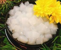 NATA DE COCO IN SYRUP / NATURAL