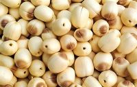 PURE DRIED LOTUS SEED / NO PRESERVATIVES