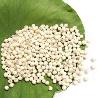 ORGANIC DRIED LOTUS SEED / IMMUNITY SUPPORT
