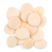 WATER CHESTNUT SLICED CANNED / ANTIOXIDANT SOURCE