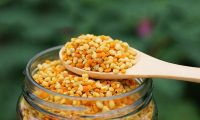 GOLDEN BEE POLLEN / RICH IN FIBER