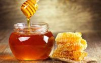PURE WILD HONEY / RICH IN ANTIOXIDANTS