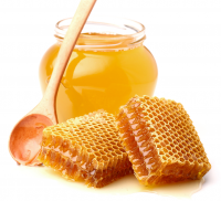 RAW FOREST HONEY / RICH IN MINERALS