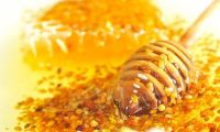 FRESH BEE POLLEN / HIGH IN ANTIOXIDANTS