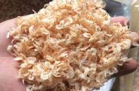 DRIED SEAFOOD MINI SHRIMP / CULINARY USE