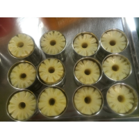 FRESH HARVEST CANNED PINEAPPLE / RICH IN