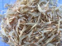DRIED BABY SHRIMP / CLEAN LABEL / NATURAL