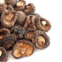 100% PLANT-BASED SHIITAKE MUSHROOM / NO