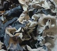 PURE DRIED BLACK FUNGUS / CLEAN LABEL