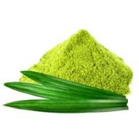 VITAPLANT PANDAN SELECT