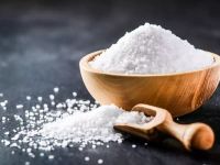 PURE SEA SALT / CLEAN LABEL / PLANT