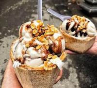 DAIRY FREE COCONUT CREAM WITH BOTANICAL