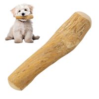 ECO WOOD CHEW FROM COFFEE TREE