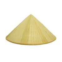 VIETNAM PALM LEAF HAT / NATURAL FIBER