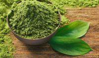 GREEN CELERY POWDER / PLANT-BASED / CLEAN