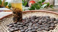 PURE NATURAL GAC SEED FROM MATURE