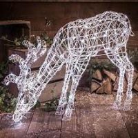 IMMUNE BOOST THEMED BAMBOO WICKER DEER