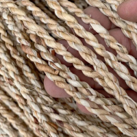 ENVIRONMENTALLY FRIENDLY SEAGRASS ROPE WITH PLANT