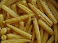 PLANT BASED CANNED BABY CORN READY