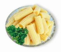 PREMIUM CANNED YOUNG CORN WHOLE BABY