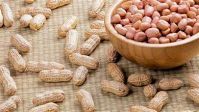 PURE PLANT BASED FROZEN BOILED PEANUT