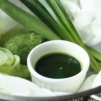 PURE FROZEN PANDAN JUICE / HIGH AROMA