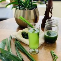 FROZEN PANDAN LEAF JUICE / OEM EXPORT
